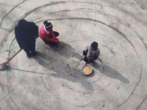 擺閘,三輥閘,速通閘,旋轉(zhuǎn)閘,平移閘,一字閘,人臉識別，